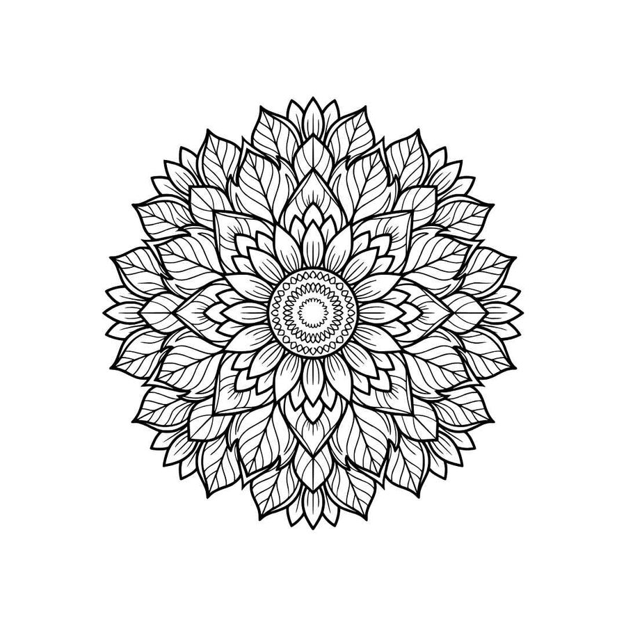 Bloom & Relax